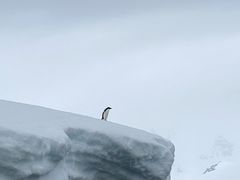 -圣保罗/瓜鲁柳斯-安德烈·弗朗哥·蒙托罗州长国际机场