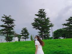 -光明小镇欢乐田园