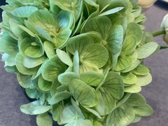 -老北门饭店(水阁路店)