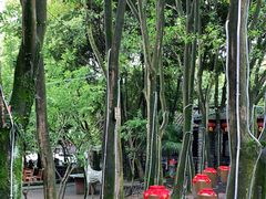 -土砂锅生态山庄·非遗砂锅雅鱼