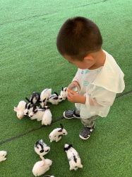 -萌宠亲子动物乐园(槐房万达店)