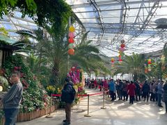 -北京植物园-展览温室