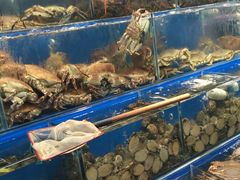 -岳各庄批发市场(西四环中路店)