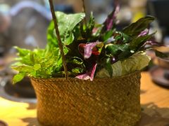 -一朵菌·野生菌探索家火锅(南亚店)