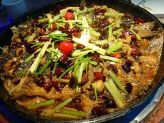 -老板恋上鱼(恒隆广场店)