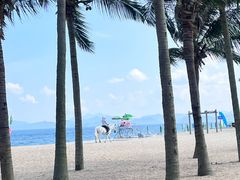 -玫瑰海岸文化旅游度假区