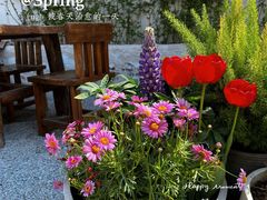 -AHAVA·Fang Baking Studio