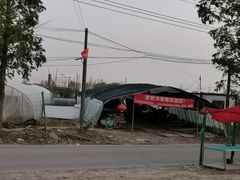 -喜杨洋草莓采摘园