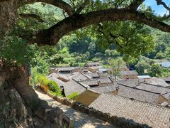 -杨家堂村