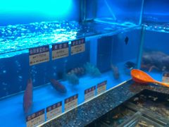 -協成海鮮火鍋(老店)