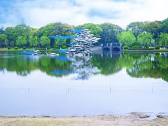 -上海鲜花港