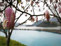-宁波九龙湖开元度假村