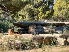 -北京野生动物园