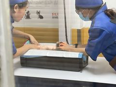 -美联众合动物医院(·中兽医·疑难杂症·严家桥分院)