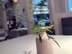 -春树下·树屋花房西餐厅(罍街AS1980店)