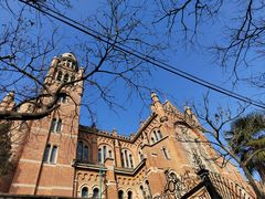 -上海佘山国家森林公园西佘山园