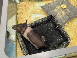 点击看大图 -meland亲子乐园•派对•研学(苏州悠方购物中心店)