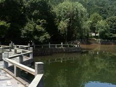 android_upload_pic-旺山景区