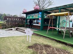 -田园东方蜜桃村的田野营地
