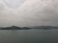 -望湖烤鱼