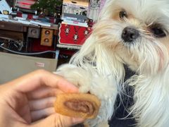 -香香春饼·非遗技艺(万达店)