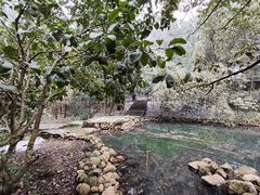 -潜山国家森林公园