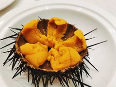 海胆-奕景海鲜(星海广场店)