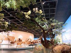 -陕西自然博物馆