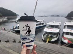 -千岛湖东南湖区