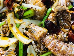 -辣盆盆麻辣小龙虾(哈尔滨总店)