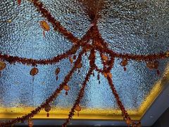 -云领御 • 影院式SPA足道(俊发广场店)