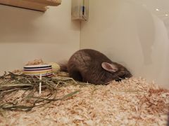 -龙猫仔乐园(惠福东路店)