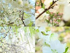 -北京安贞环宇荟