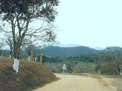 -马峦山郊野公园