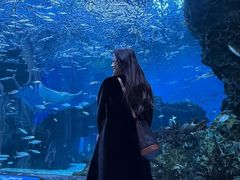 -海合安成都极地海洋公园