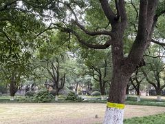 -上海大学(嘉定校区)