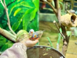 -Zoolung Zoolung动物主题公园(海信广场店)