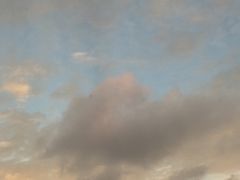 -新湖明珠城