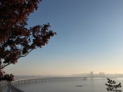 -星海湾跨海大桥