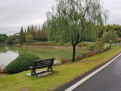 -宜兴龙背山森林公园
