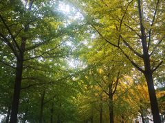 -东丽温泉羽毛球