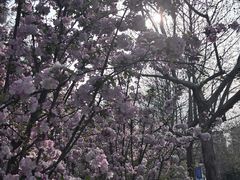 -山东外贸职业学院