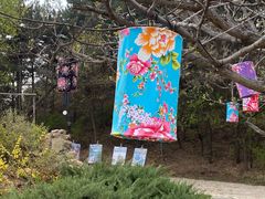 -云峰山自然风景区