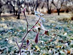 -长春公园(普阳街道)