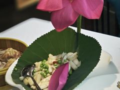 -松鹤楼·非遗·苏帮菜(融科店)