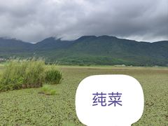 -腾冲北海湿地