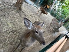 -广州锦绣香江度假别墅(官方直营店)