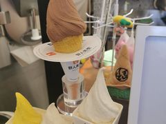 -野人先生Gelato(上海长宁龙之梦店)