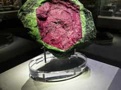 -湖南省地质博物馆