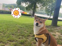 -上海月湖雕塑公园